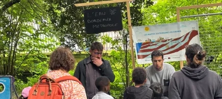 Juniors du Développement Durable